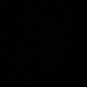 Meet your Posher, Mikey